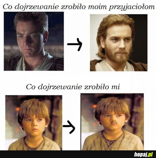 Też chcę bordę!!!