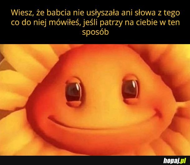 Babcia