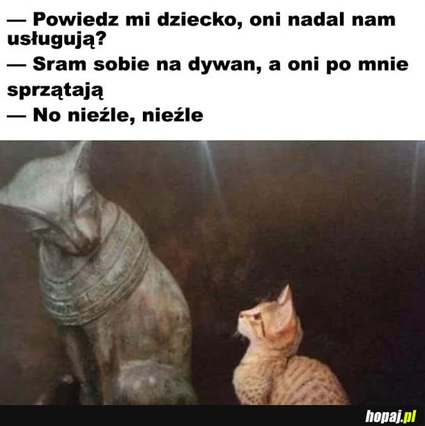 Niektóre rzeczy się nie zmieniają 