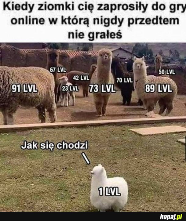 Wsparcie kolegów nieocenione