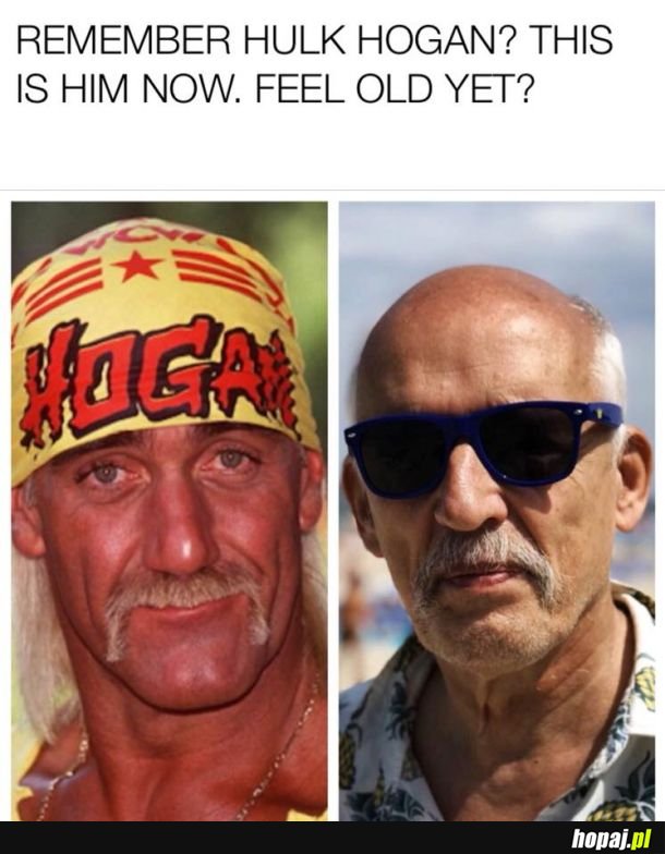 Hulk Hogan