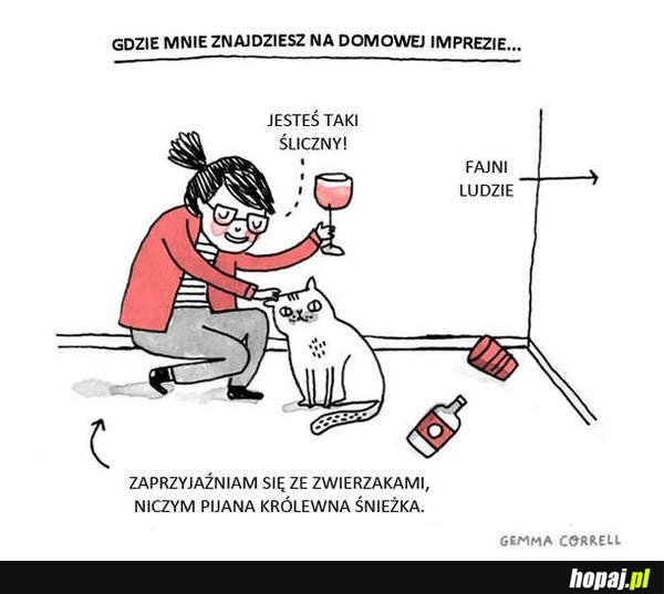 Gdzie znajdziesz mnie na domowej imprezie