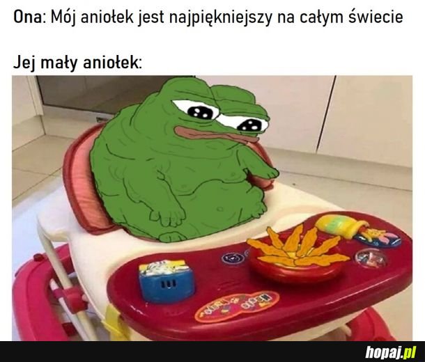 Aniołek