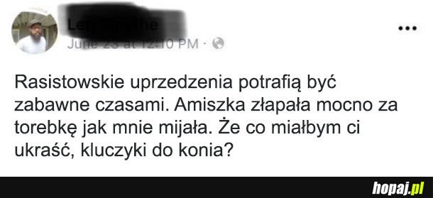 Amiszka