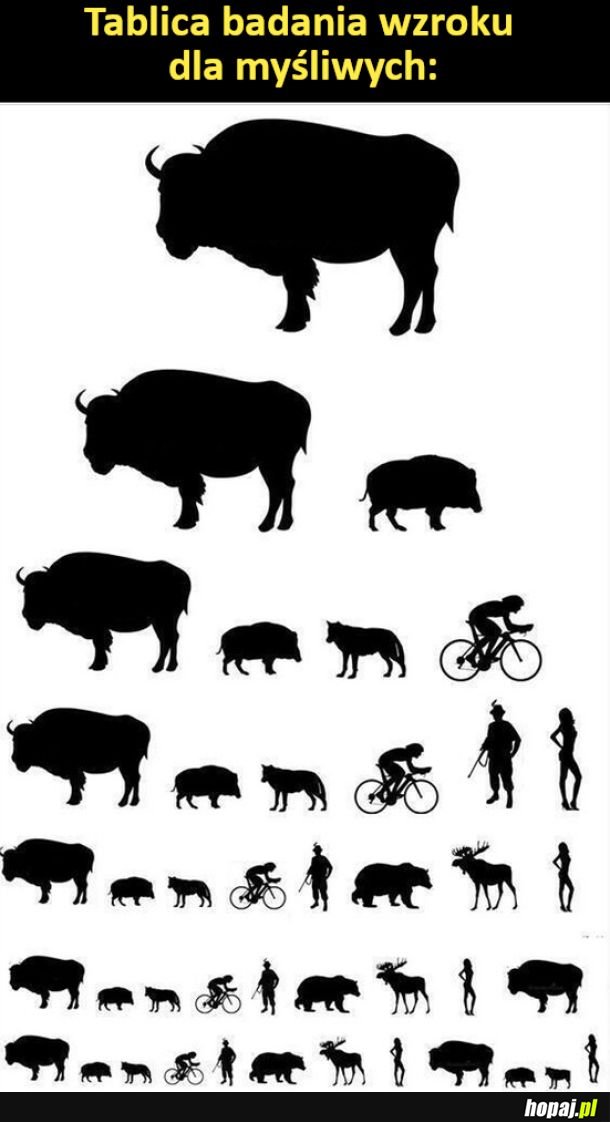 Tablica badania wzroku dla myśliwych