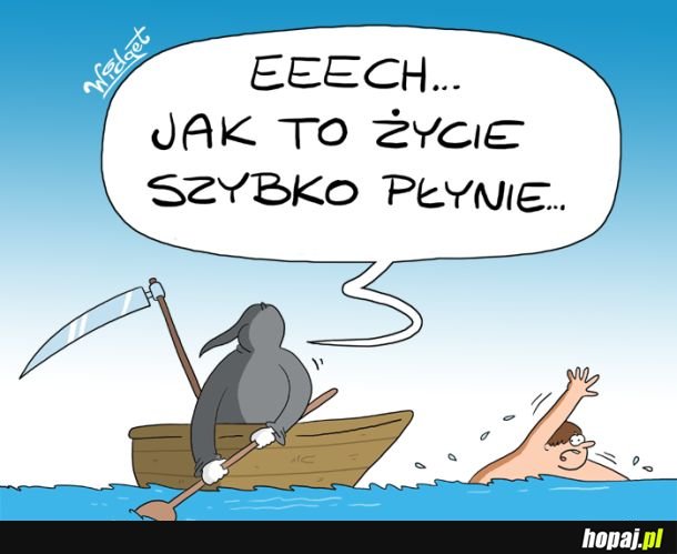 Życie płynie