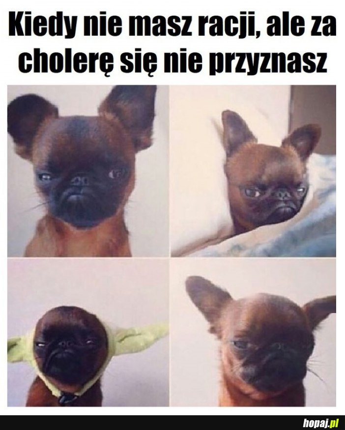 Ten uczuć