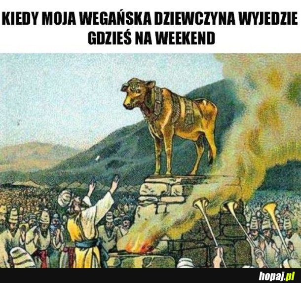 WOLNOŚĆ!