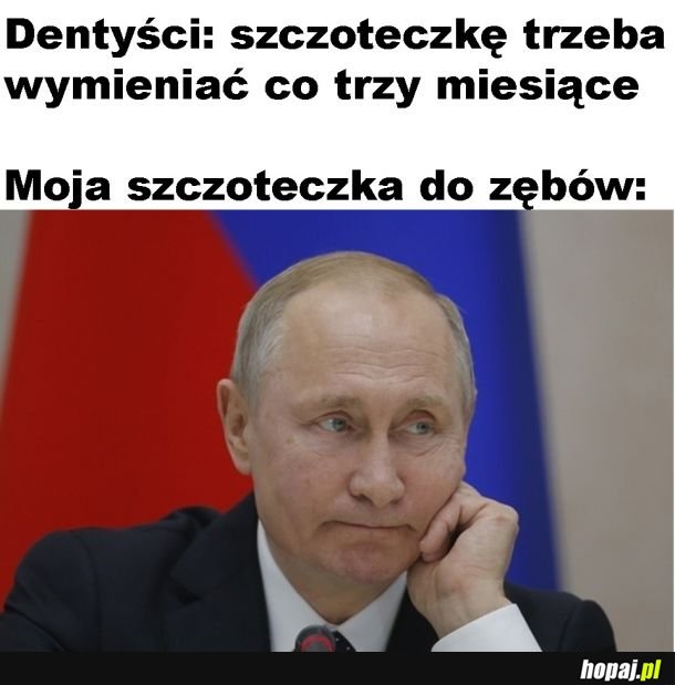 Szczoteczka