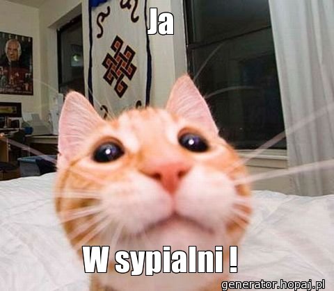 Ja 