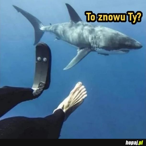 To znowu ty?