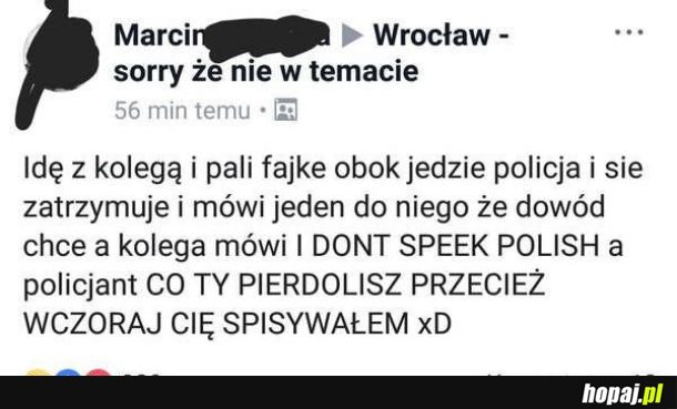 Takie rzeczy we Wrocławiu