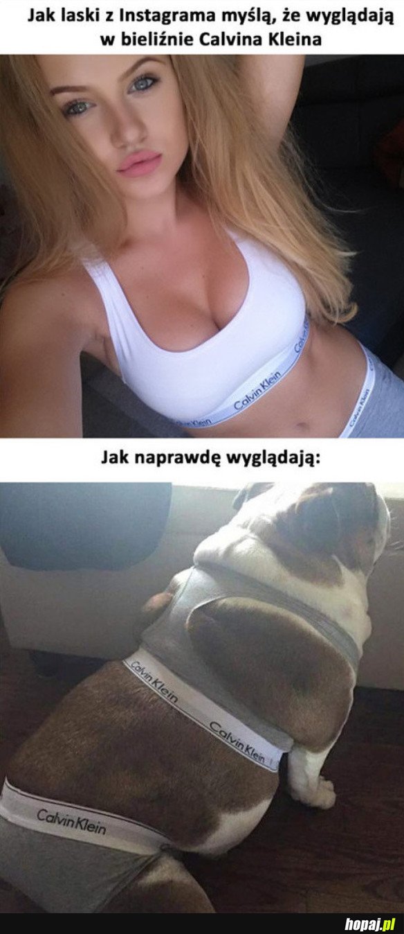 LASKI Z INSTAGRAMA