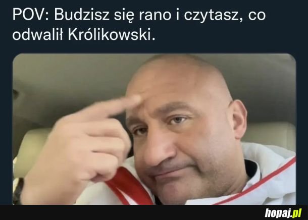 Najman z Antkiem są siebie warci