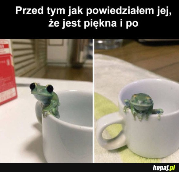 MAŁA PIĘKNOŚĆ