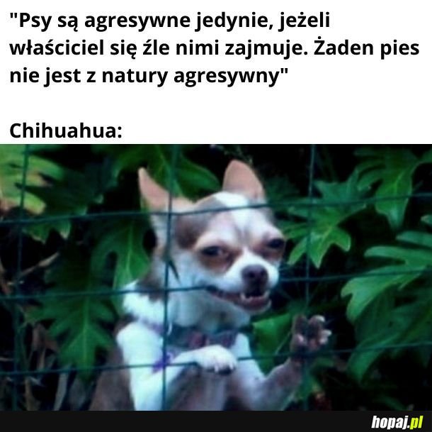 Jest jeden wyjątek...