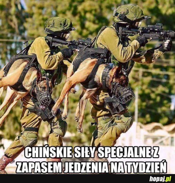 Chińskie siły specjalne