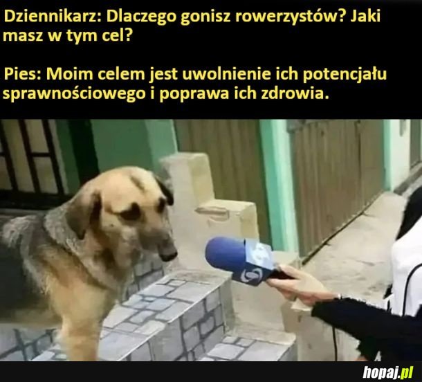 To dla ich dobra