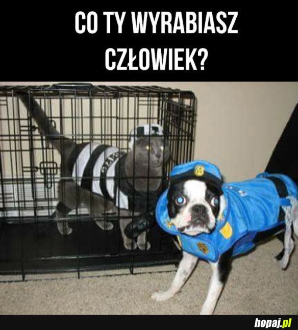 CO TU SIĘ??