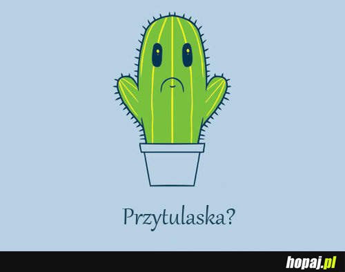 Przytulaska?