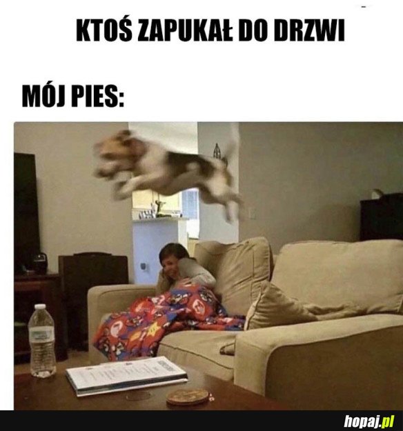 Pieseł