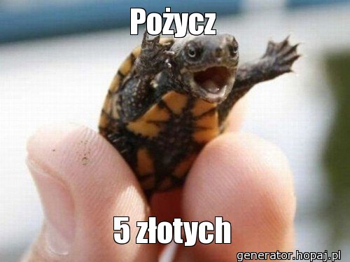 Pożycz