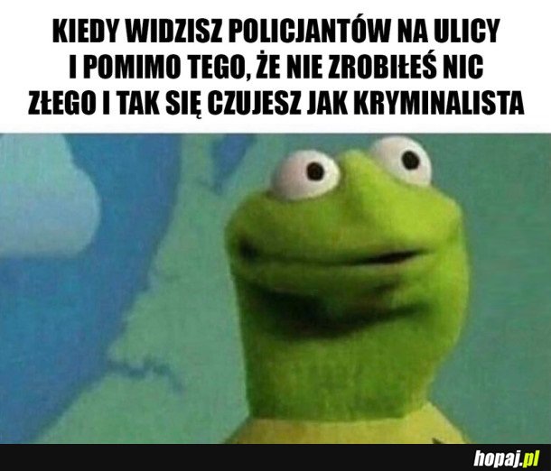 CZUJĘ SIĘ JAK KRYMINALISTA