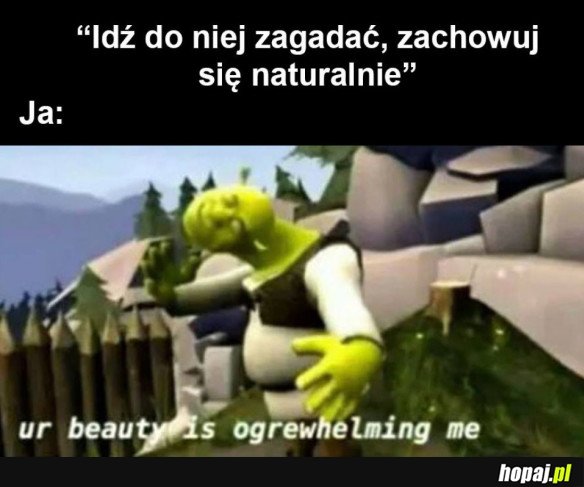 ZACHOWUJ SIĘ NORMALNIE