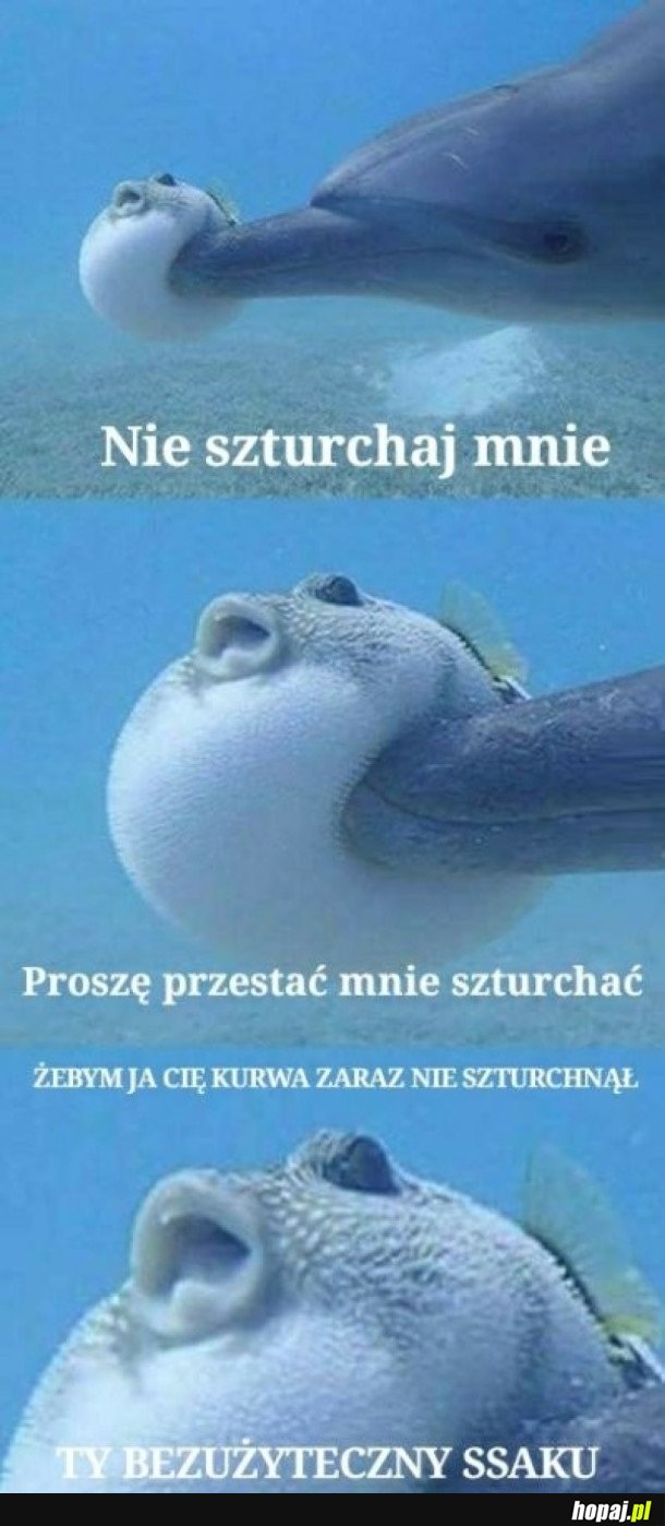 BEZUŻYTECZNY SSAK!