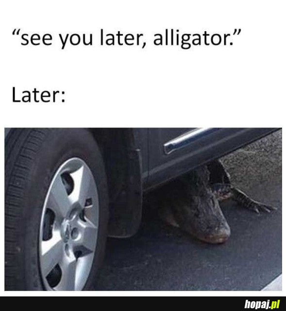 SEE YOU LATER, ALLIGATOR!