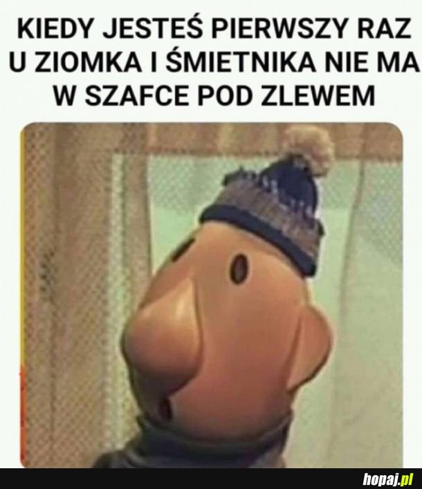 Bo wszyscy Polacy.. 