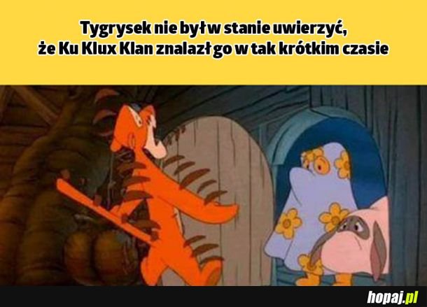 Zdziwiony tygrysek