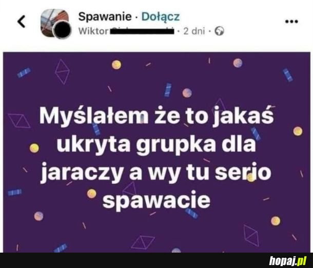 Bez sensu