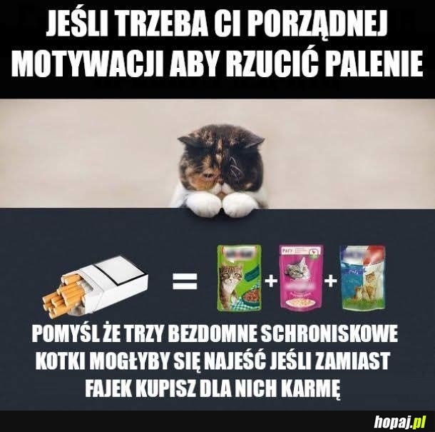 Może pomoże