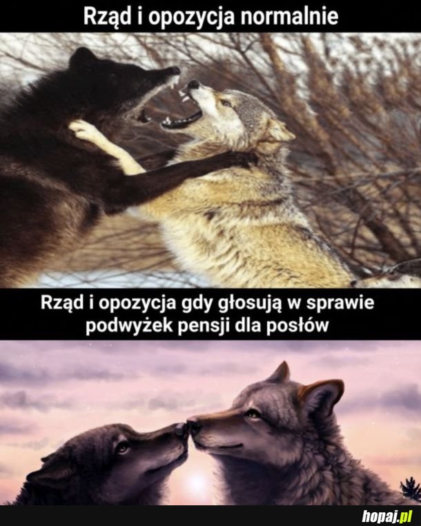 Tu się zgadzają