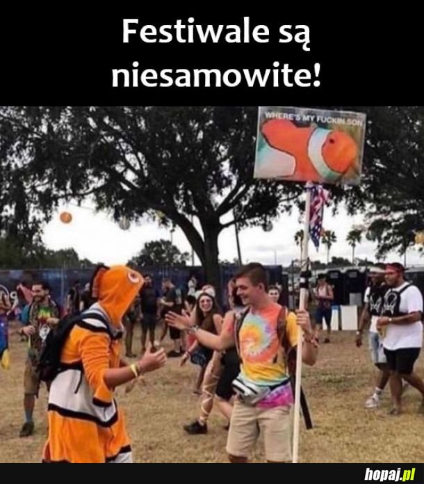 Festiwale 