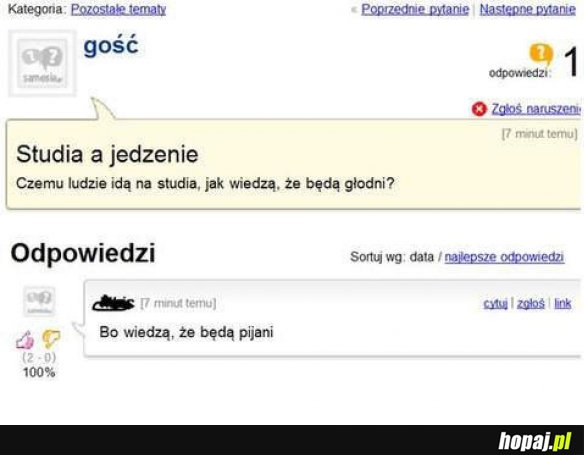 Studia