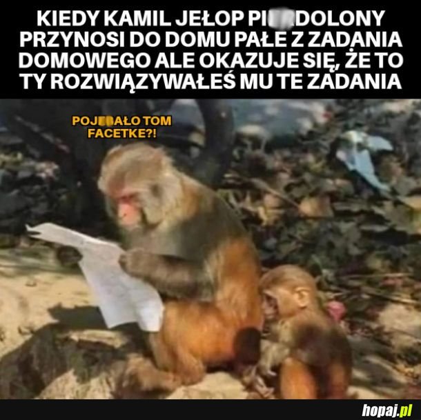 Pała z zadania domowego