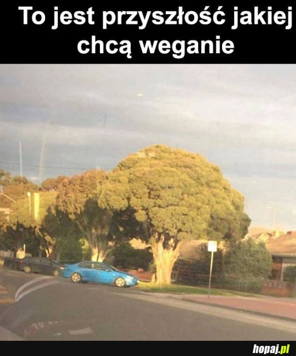 WEGANIE