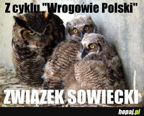 Wrogowie Polski