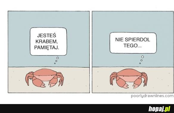 Dasz radę!