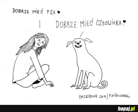 DOBRZE MIEĆ PSA