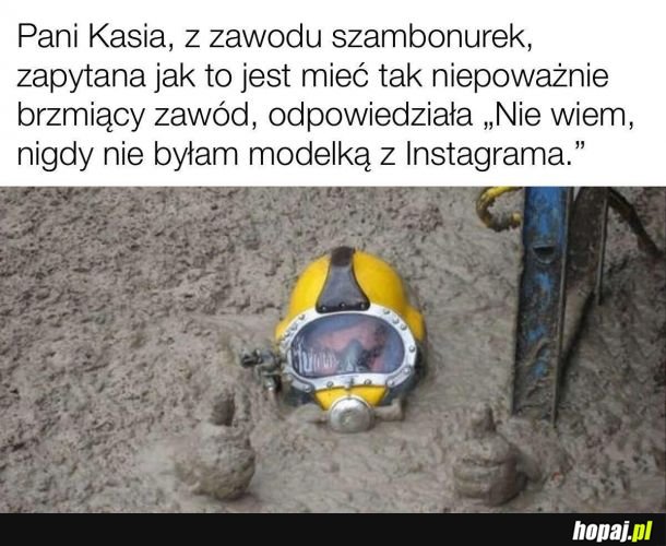 Niepoważny zawód