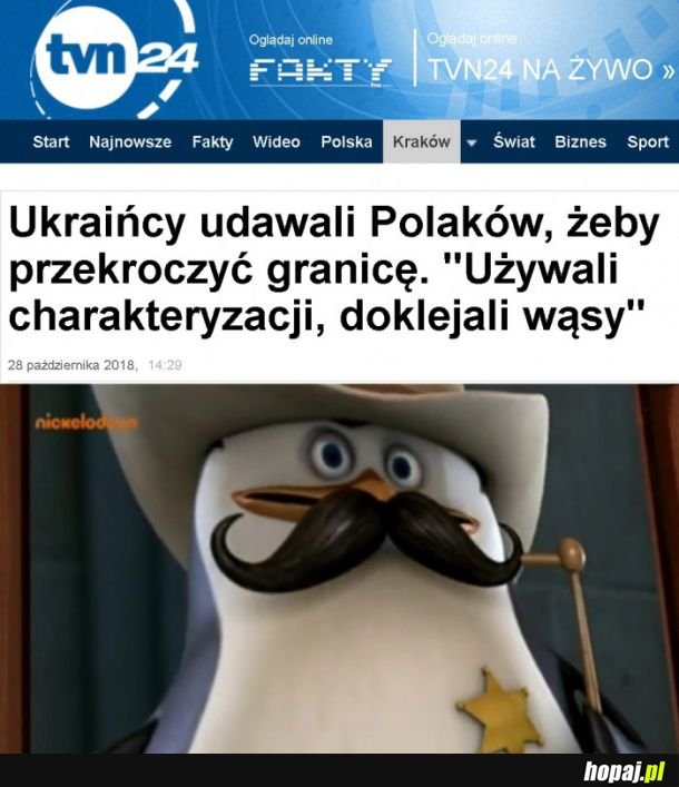 Ciekawe czy kobiety też