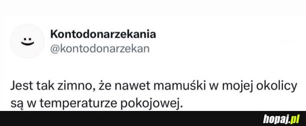 Aż tak przymroziło