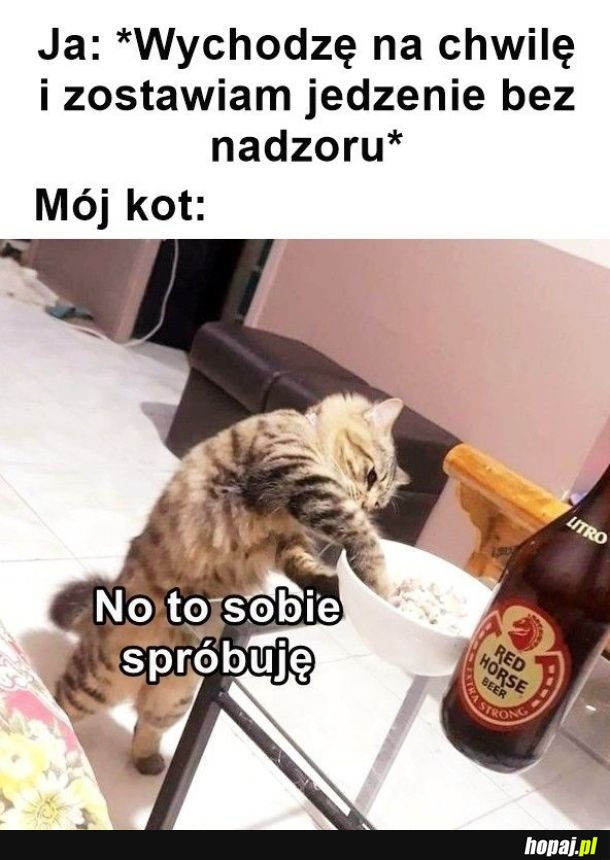 Złodziejaszek