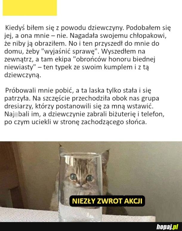 Zwrot akcji