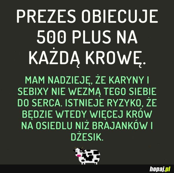 Pińcet dla każdego 