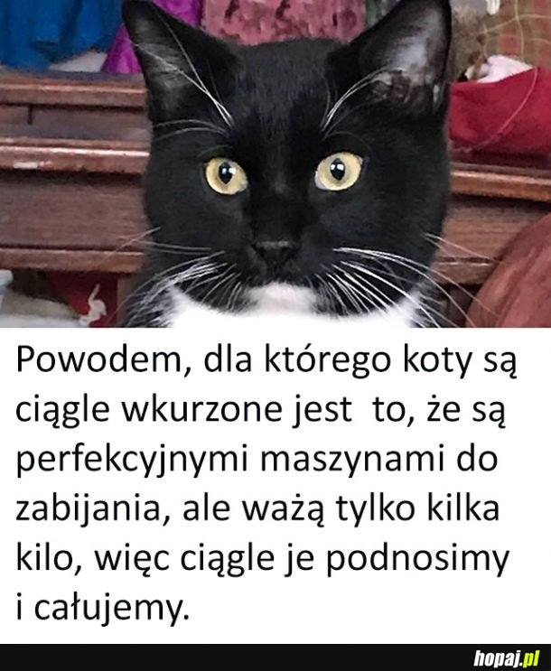 Tajemnica wyjaśniona