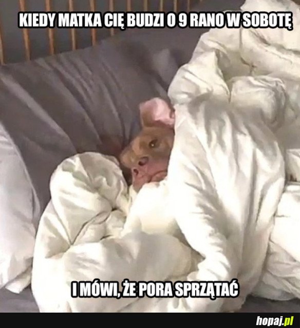 SOBOTA RANO